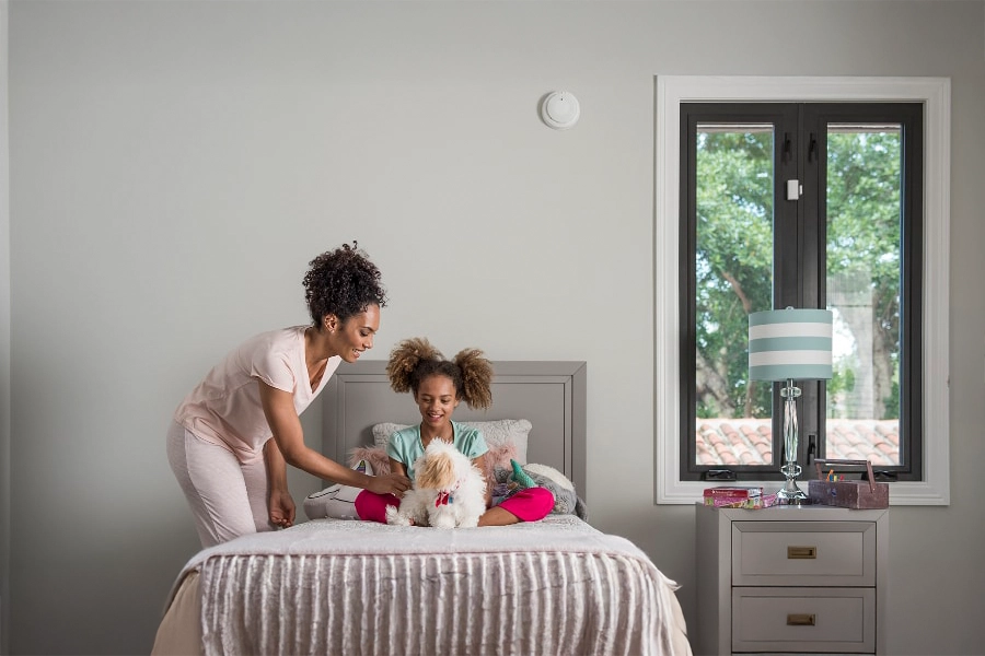 smoke & carbon detector Greenville